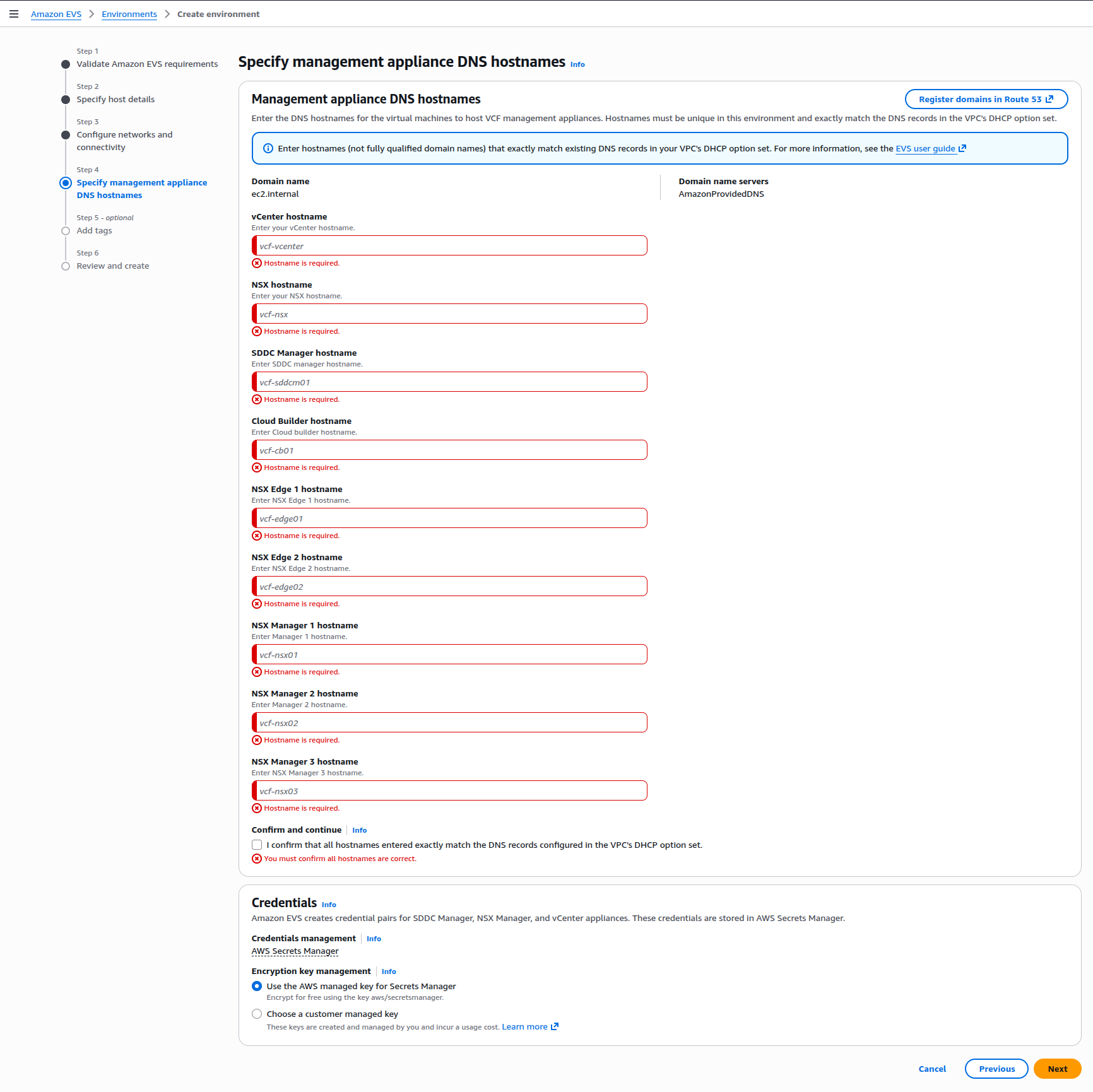 DNS Validation Error
